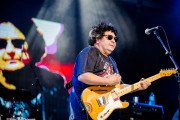 Richard Clapton Band