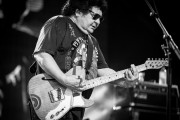 Richard Clapton Band